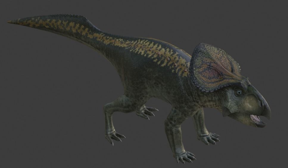 Protoceratops Asset Pack Low-poly 3D model_12