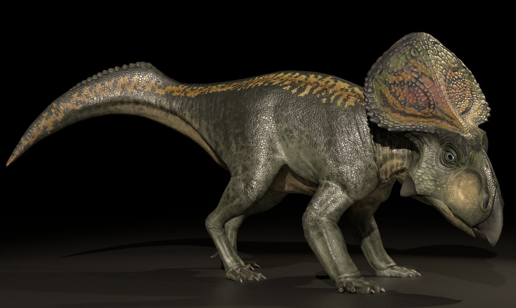 Protoceratops Asset Pack Low-poly 3D model_3