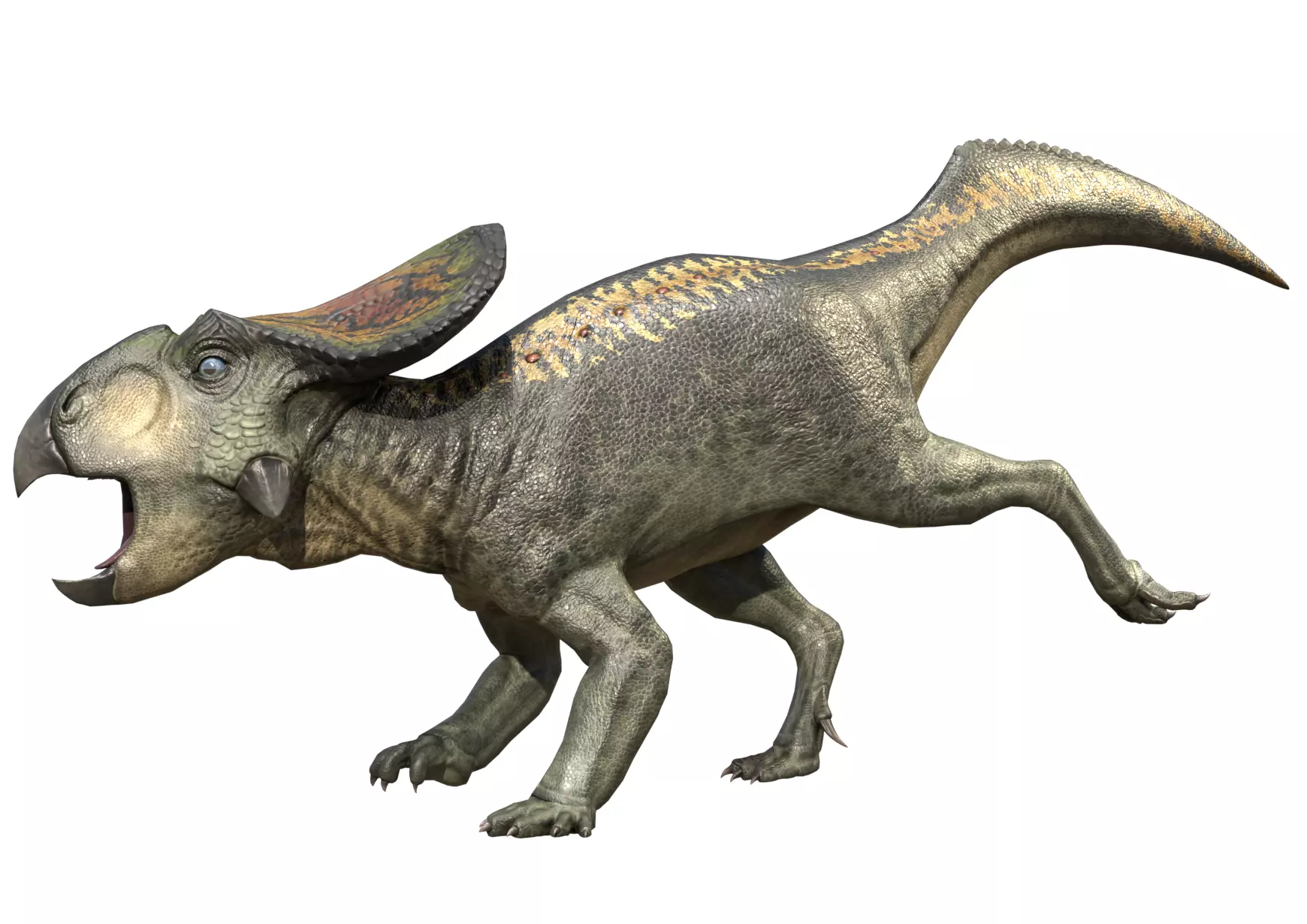 Protoceratops Asset Pack Low-poly 3D model_0