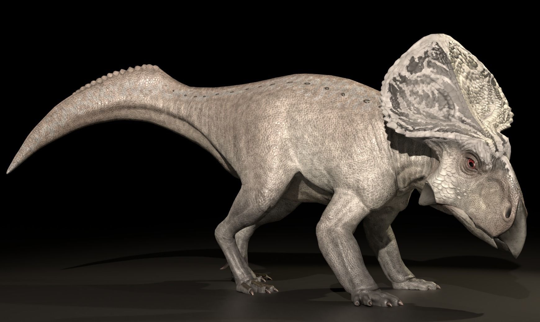 Protoceratops Asset Pack Low-poly 3D model_6