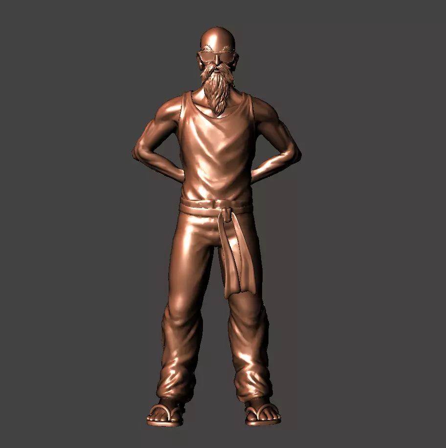 Roshi Master Tortue Geniale 3D print model