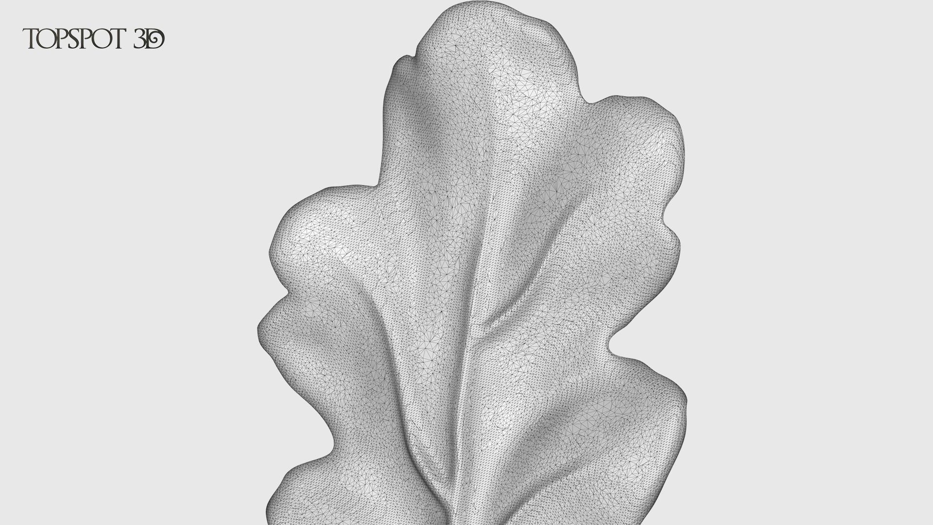 Oak Leaves And Acorns set 3D print model_33