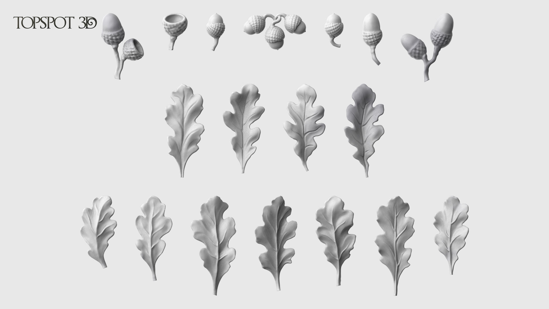 Oak Leaves And Acorns set 3D print model_23