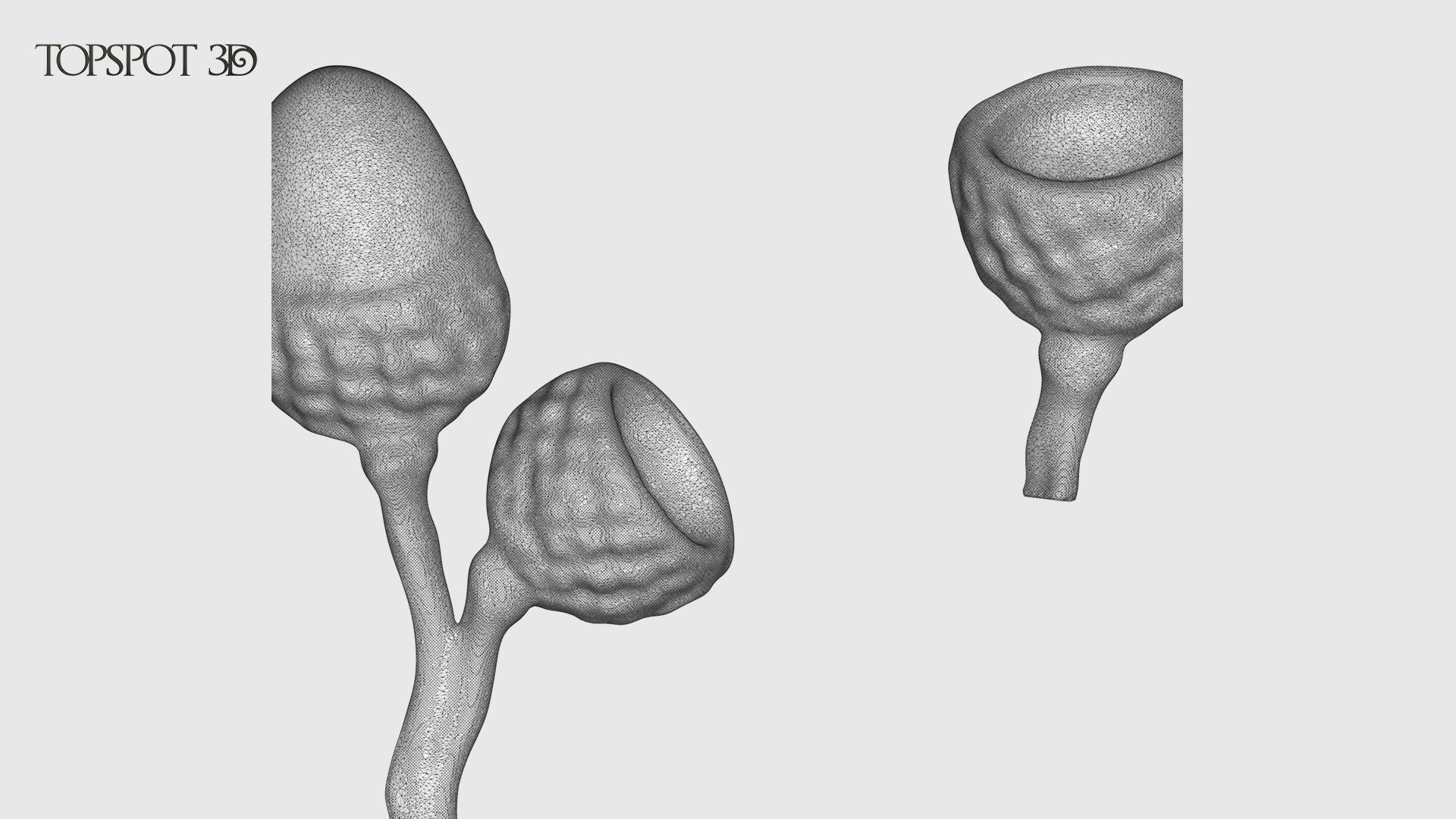 Oak Leaves And Acorns set 3D print model_25