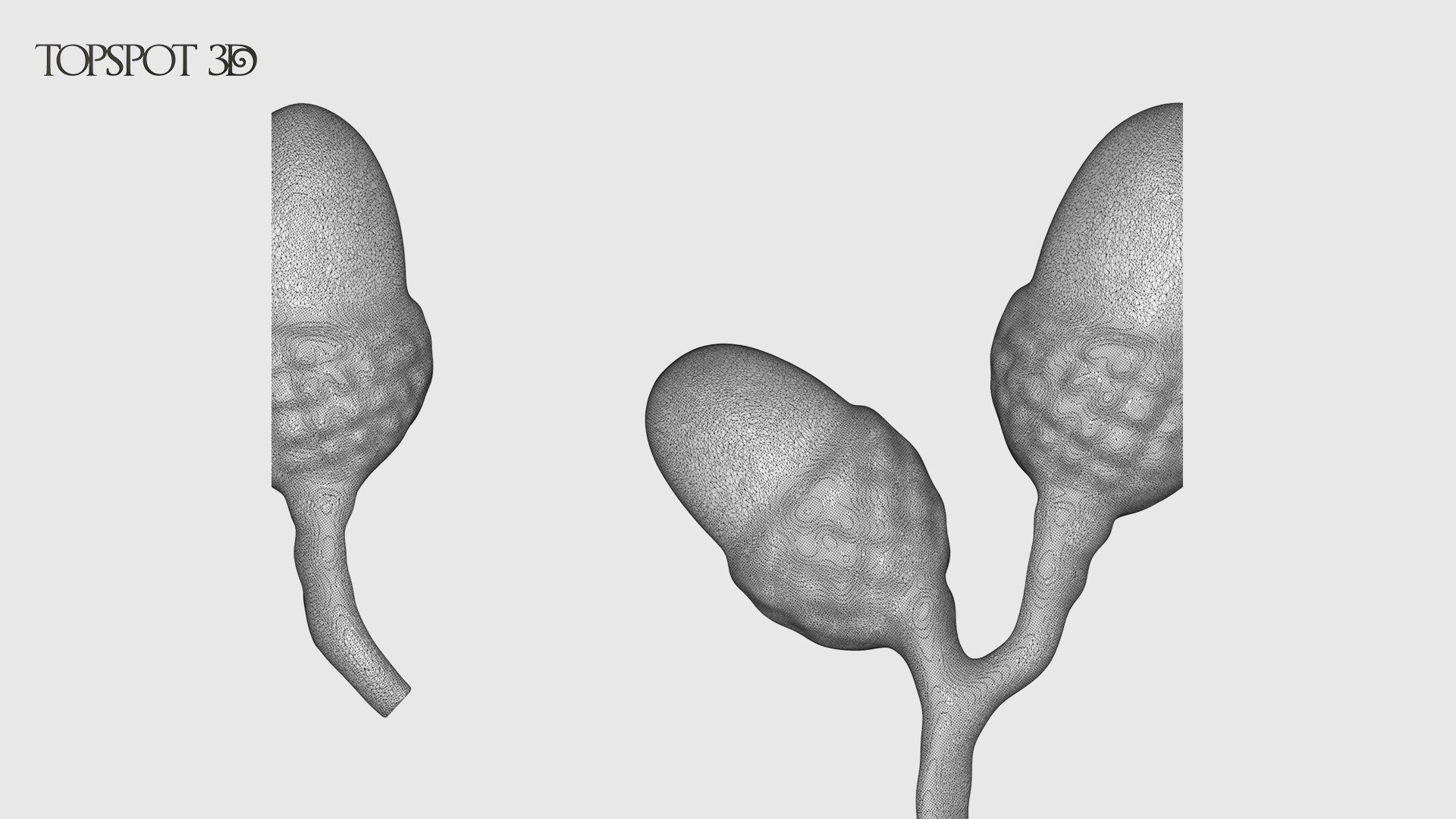 Oak Leaves And Acorns set 3D print model_27