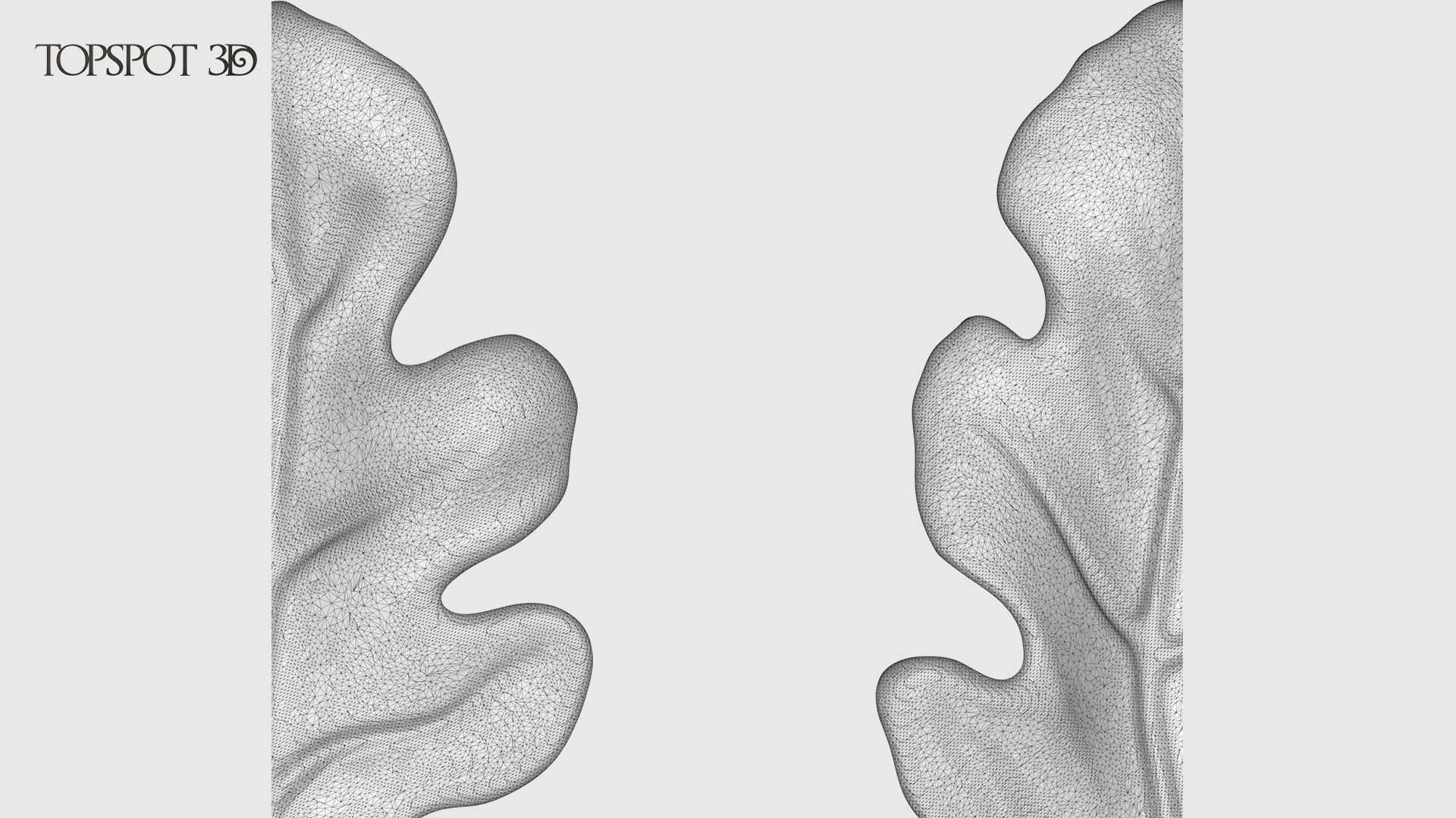 Oak Leaves And Acorns set 3D print model_29