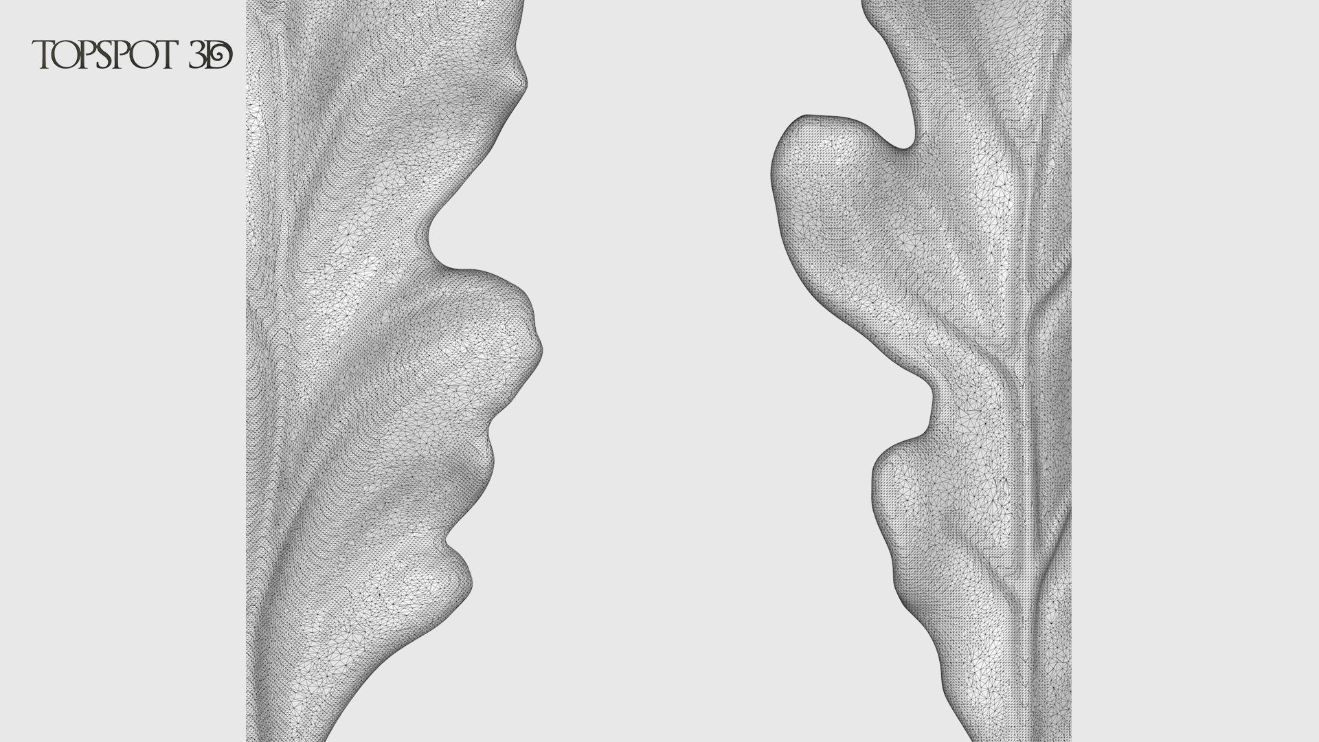 Oak Leaves And Acorns set 3D print model_28