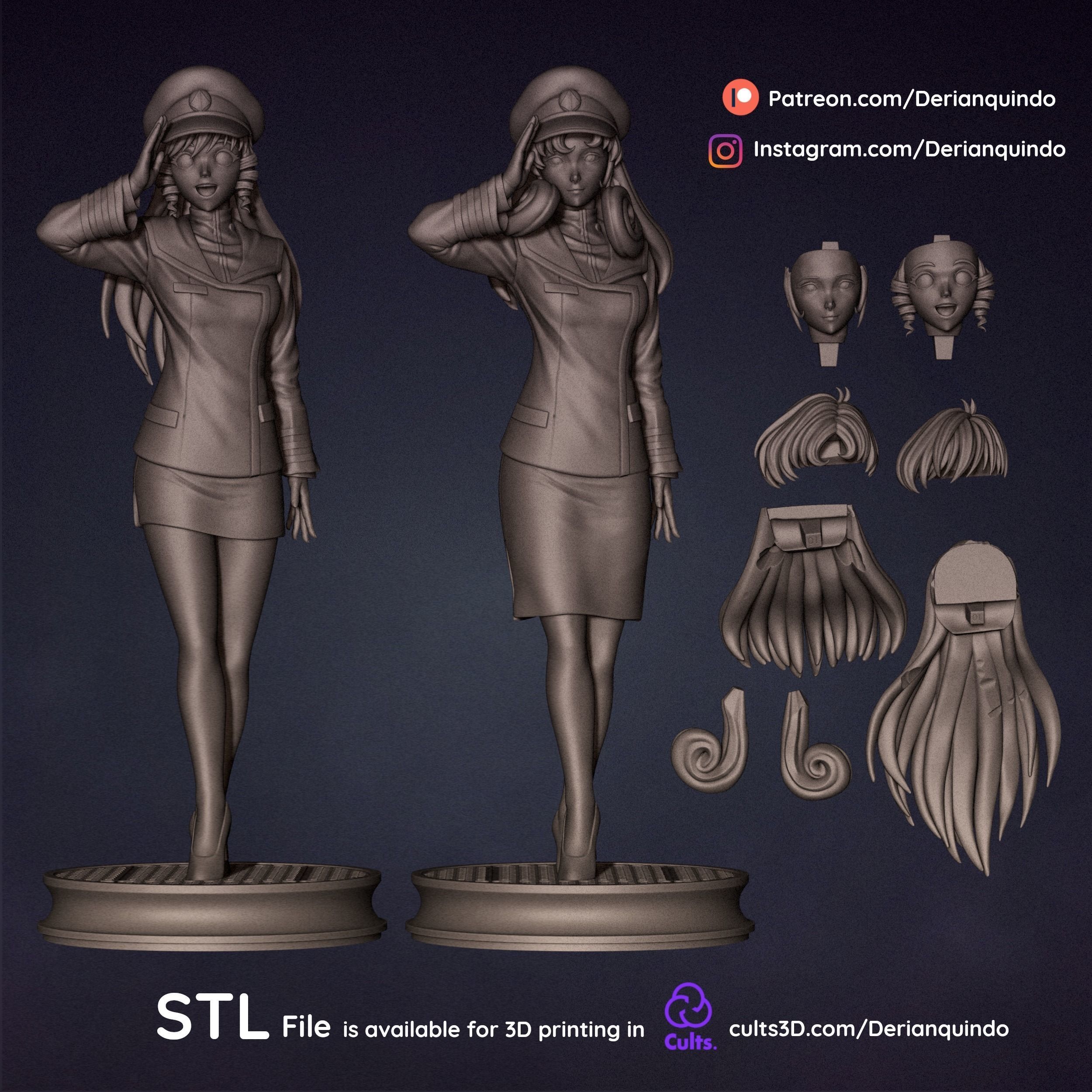 Anime Classics - Lisa and Minmay Robotech full figure 3D print model_20