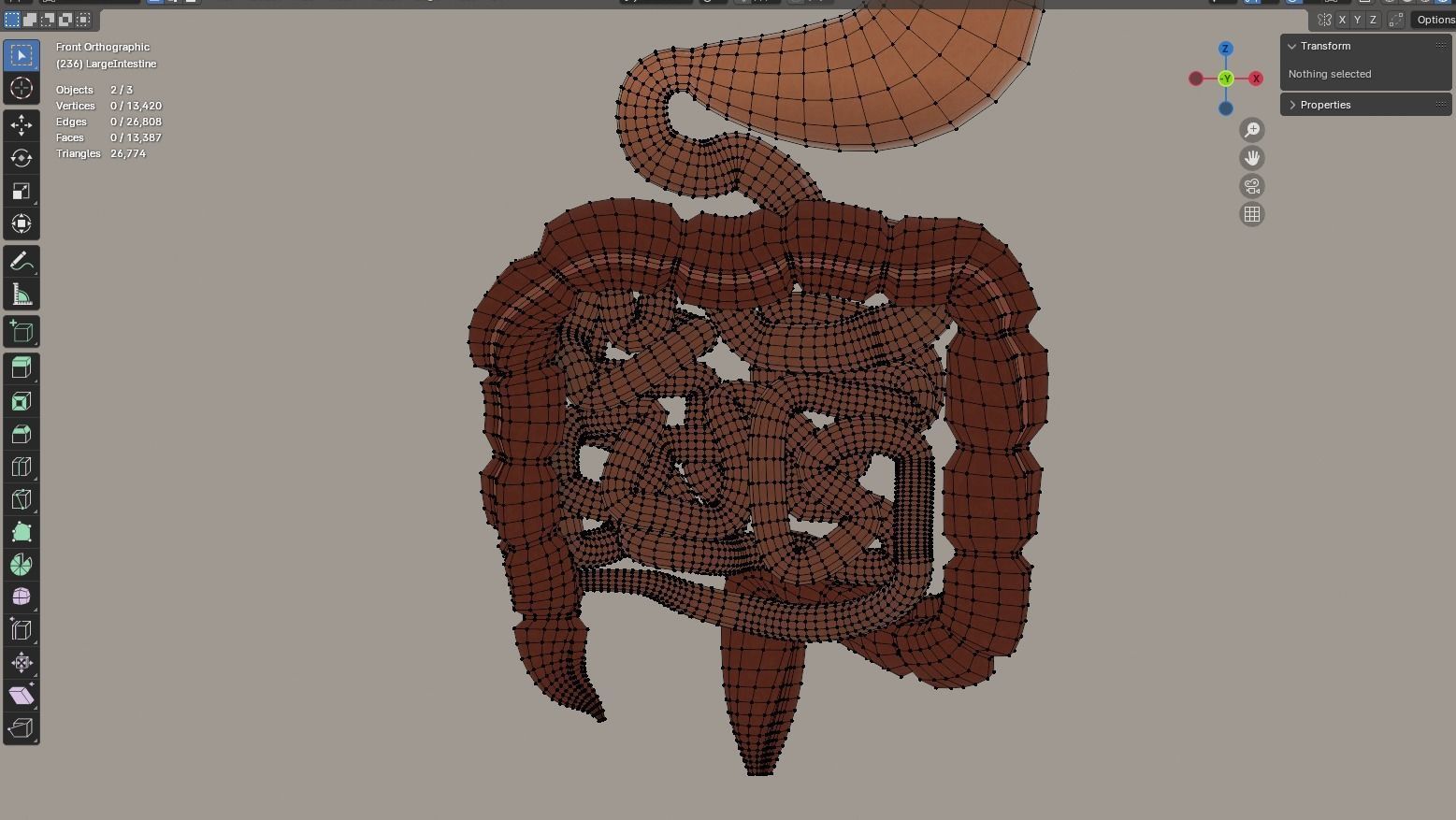 Animated Stomach and Digestive System with Small Intestines Low-poly 3D model_7