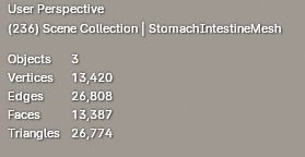 Animated Stomach and Digestive System with Small Intestines Low-poly 3D model_6