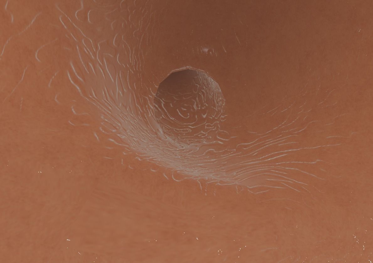 Animated Stomach and Digestive System with Small Intestines Low-poly 3D model_4