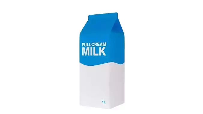 Milk Carton Bottle