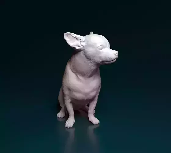Chihuahua dog 3D print model