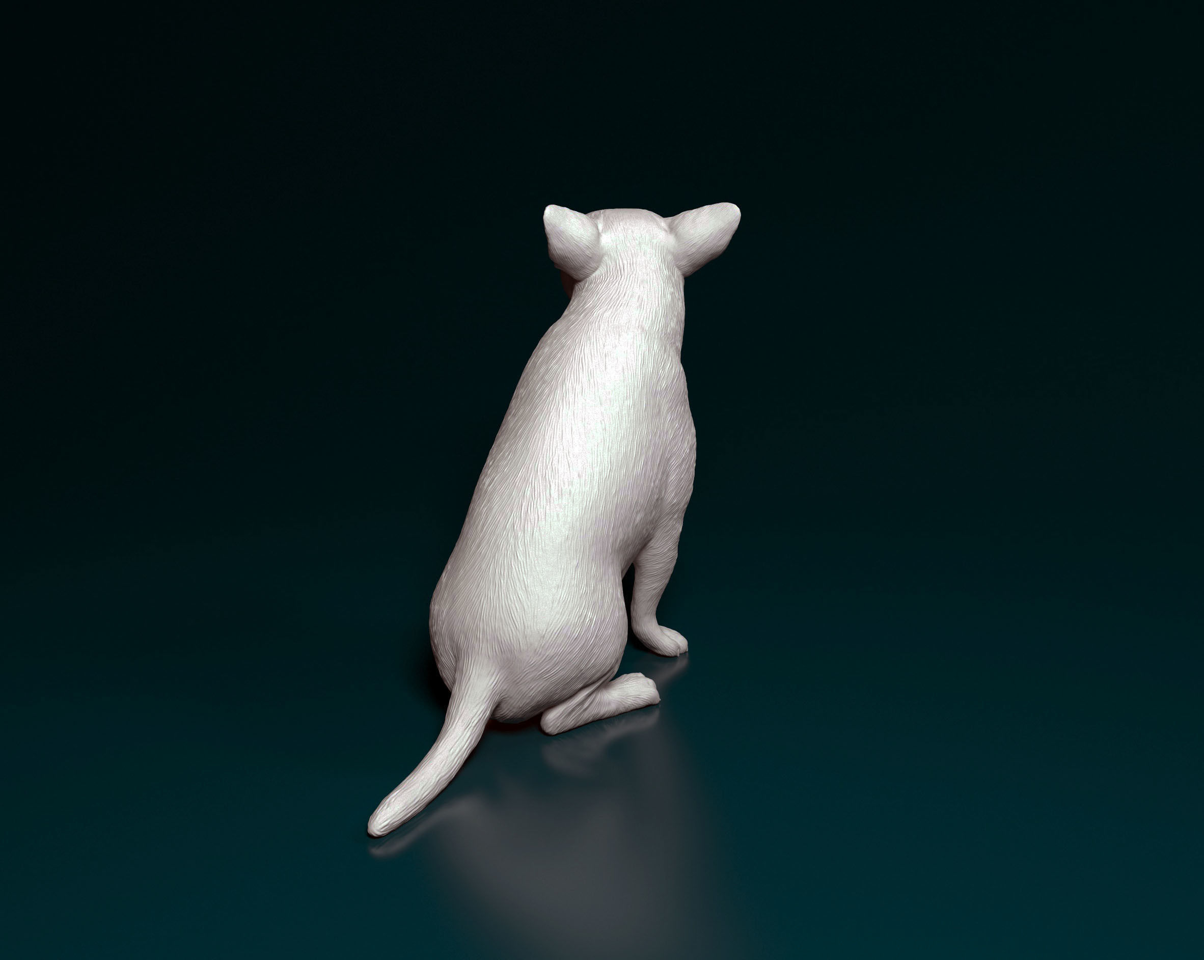 Chihuahua dog 3D print model_3