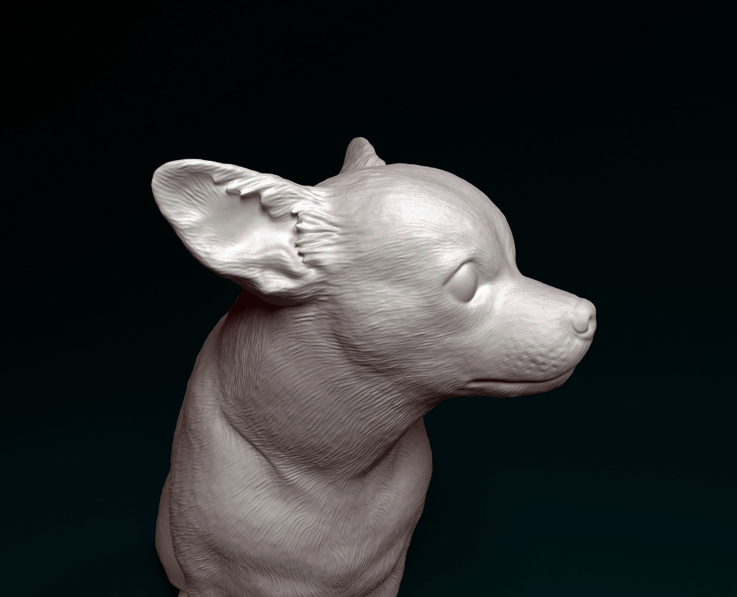 Chihuahua dog 3D print model_7