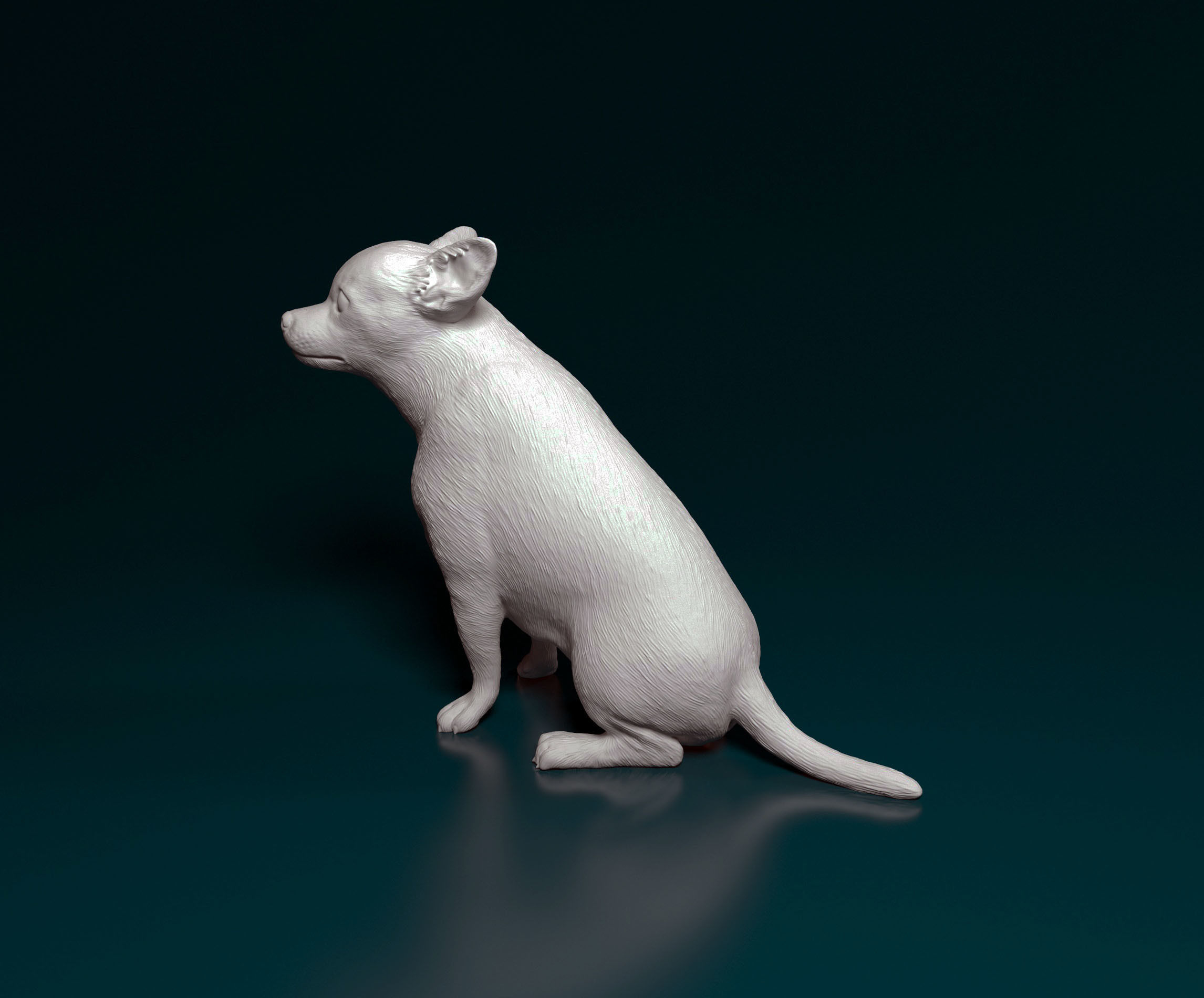 Chihuahua dog 3D print model_5