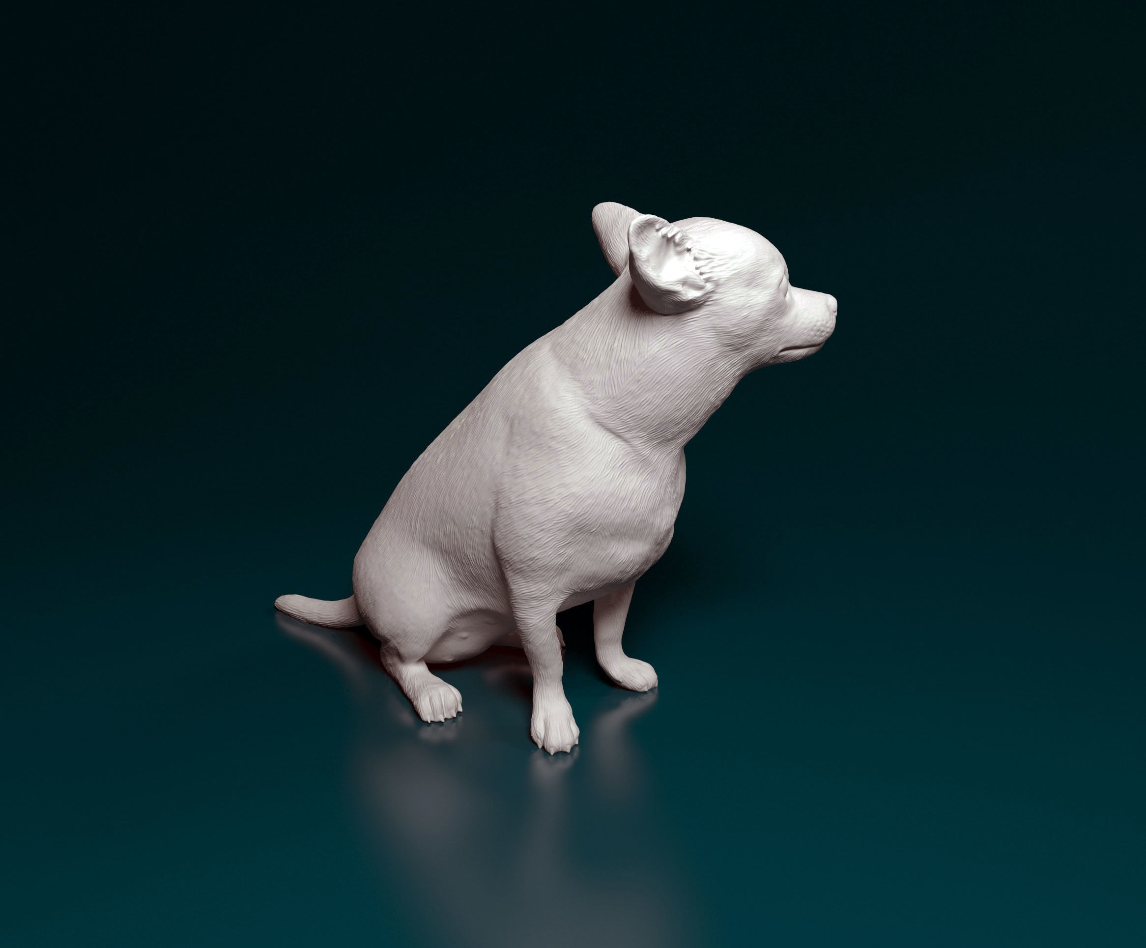 Chihuahua dog 3D print model_2