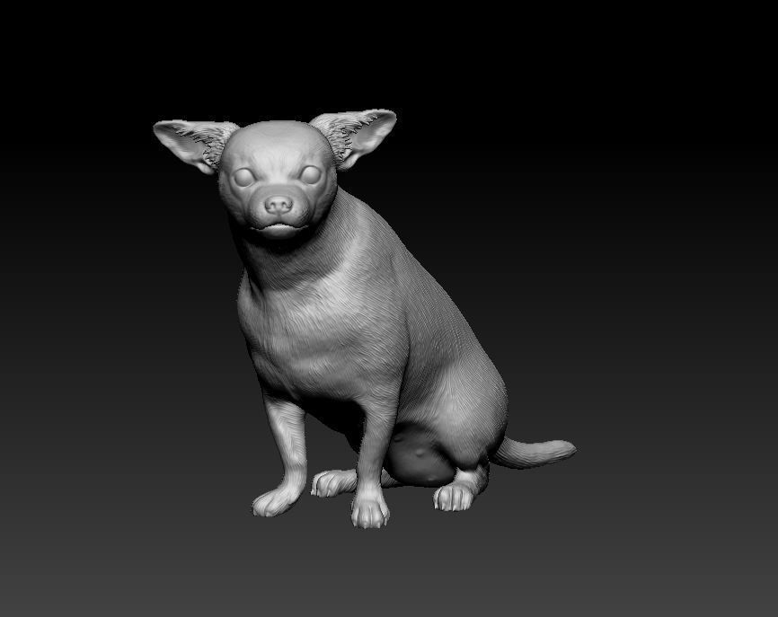 Chihuahua dog 3D print model_9