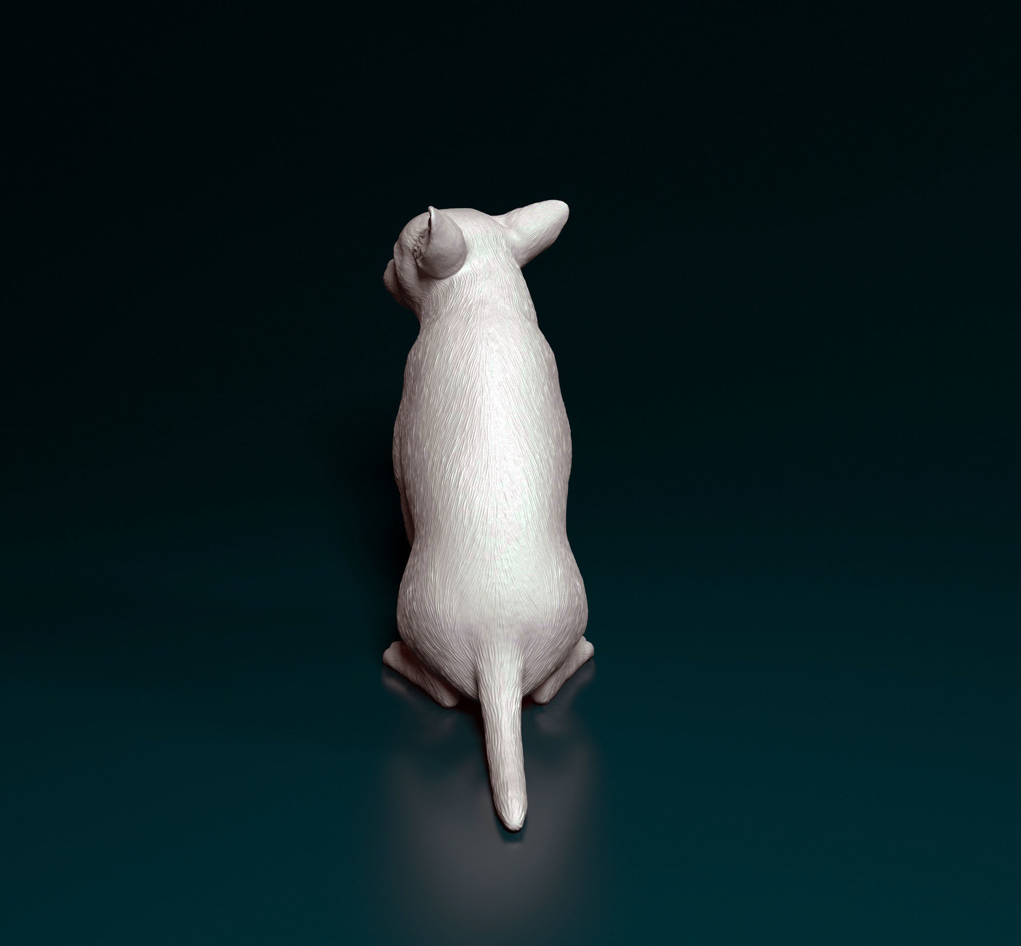 Chihuahua dog 3D print model_4