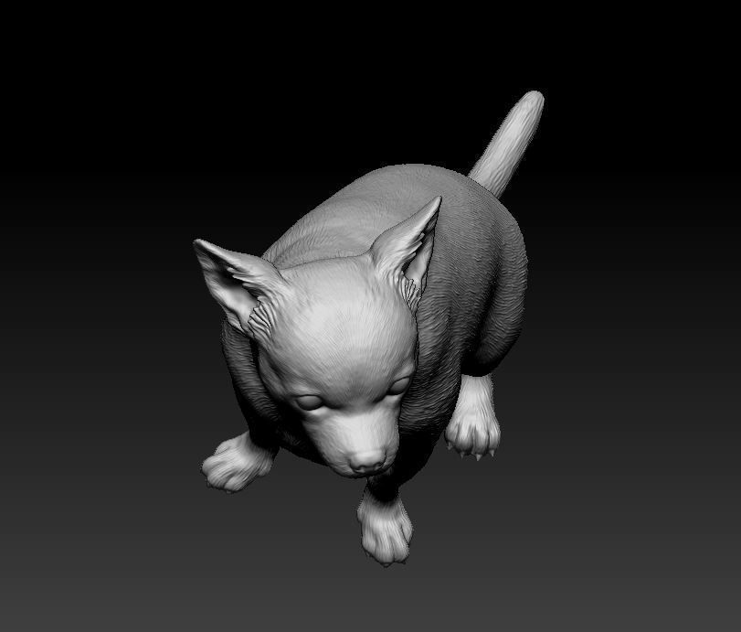 Chihuahua dog 3D print model_8