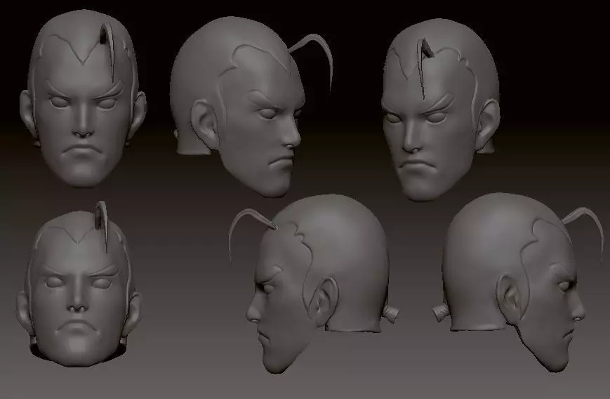 Dan Hibiki Head 3D print model_0
