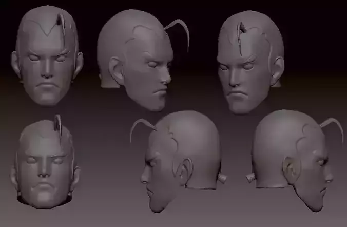 Dan Hibiki Head 3D print model