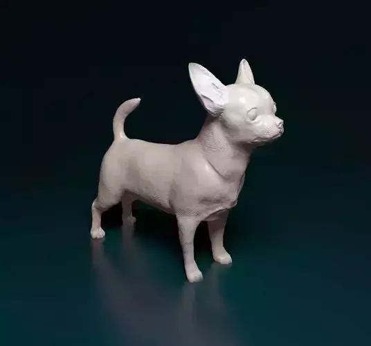 Chihuahua dog 3D print model