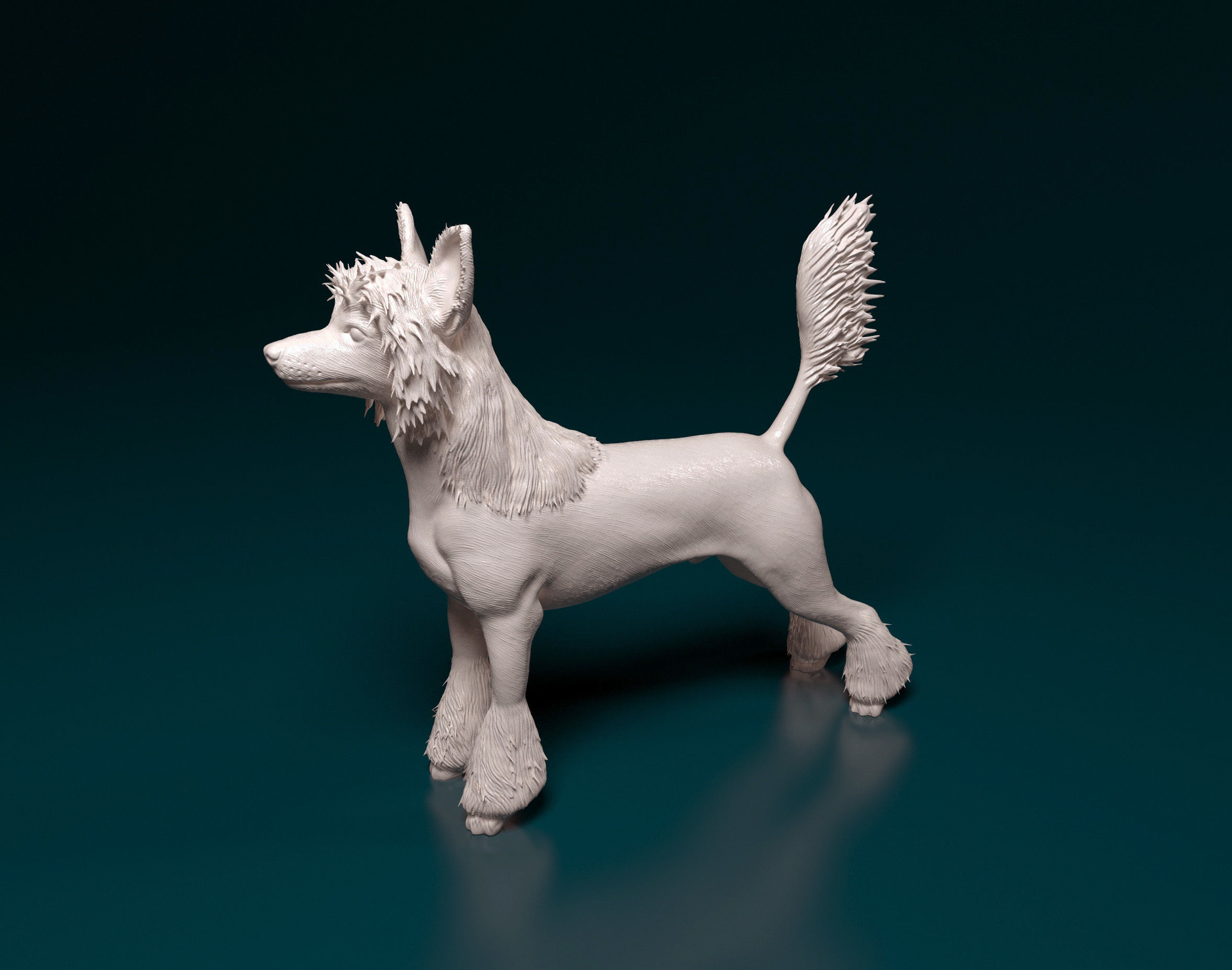 Chinese Crested dog 3D print model_6