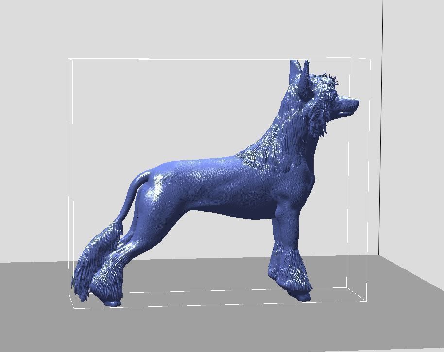 Chinese Crested dog 3D print model_3