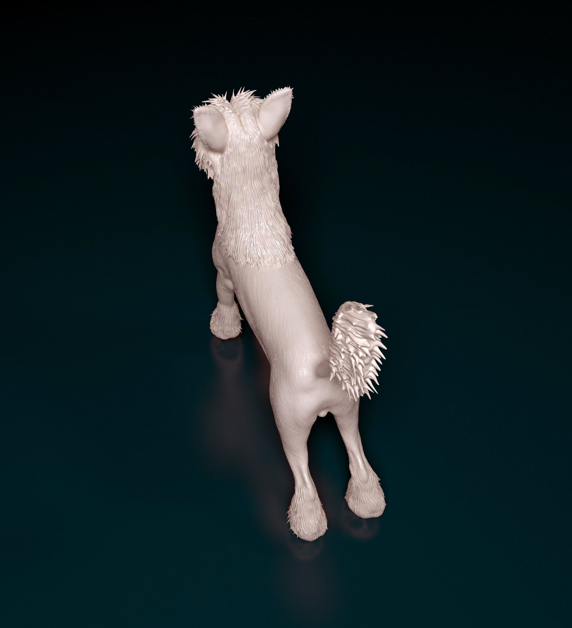 Chinese Crested dog 3D print model_4