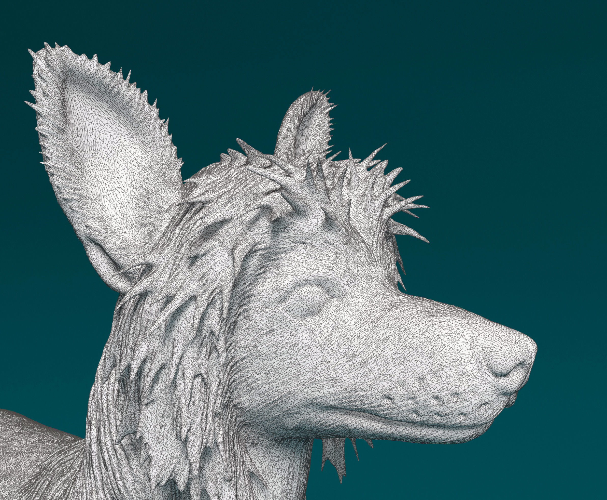 Chinese Crested dog 3D print model_10