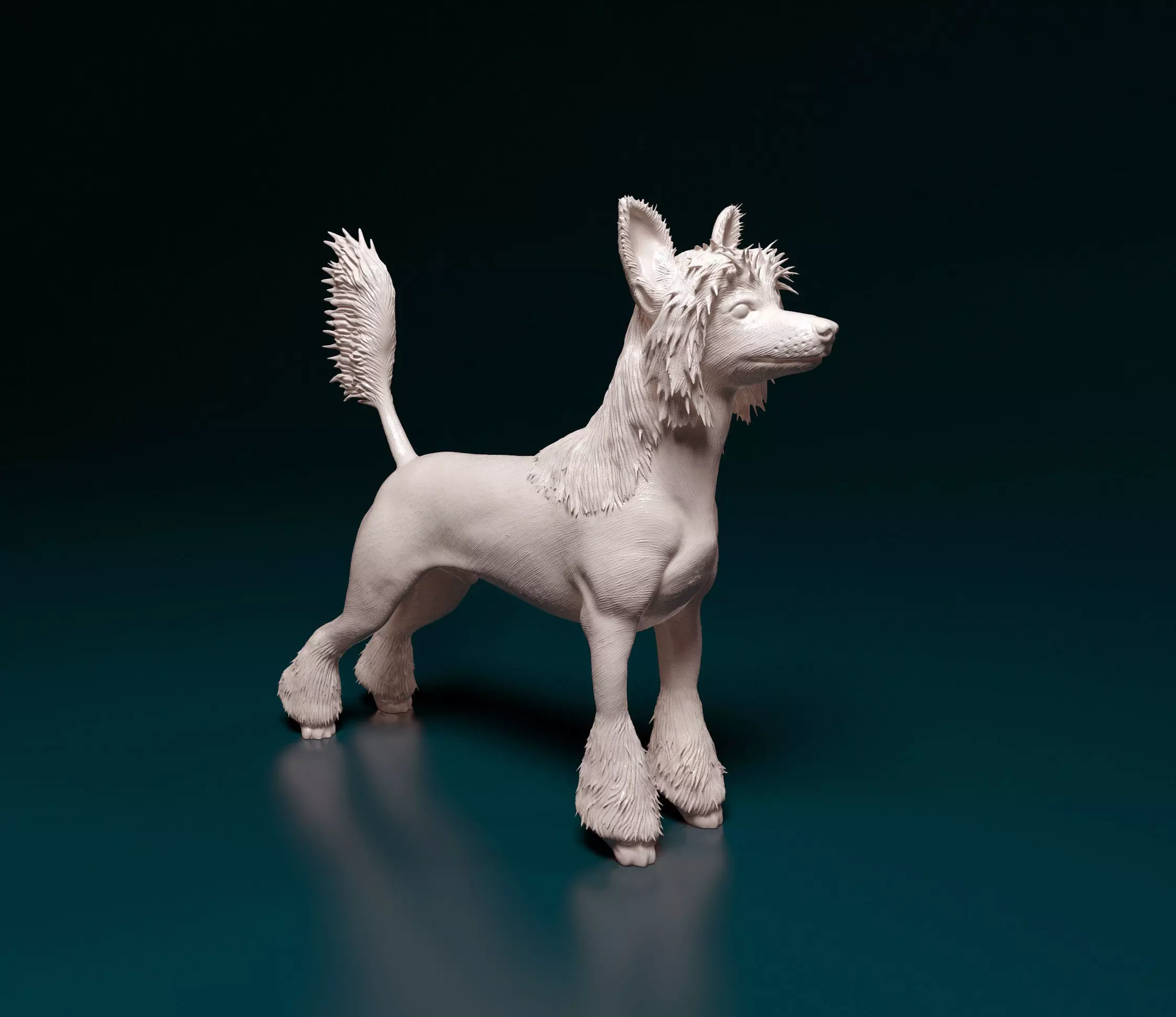 Chinese Crested dog 3D print model_0