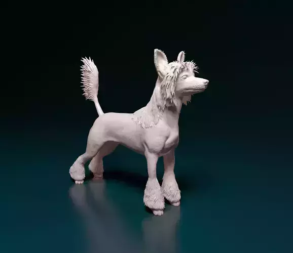Chinese Crested dog 3D print model