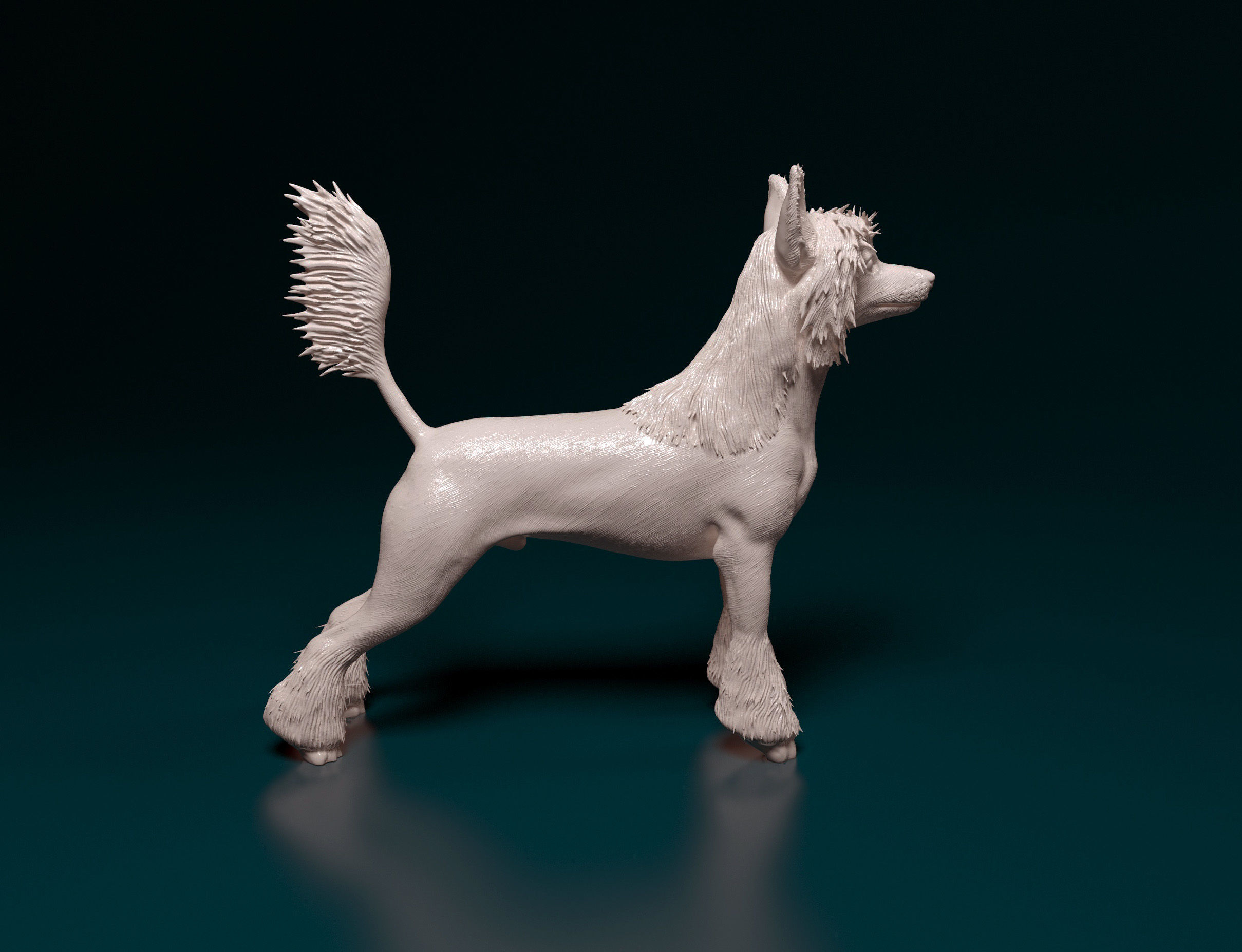 Chinese Crested dog 3D print model_1