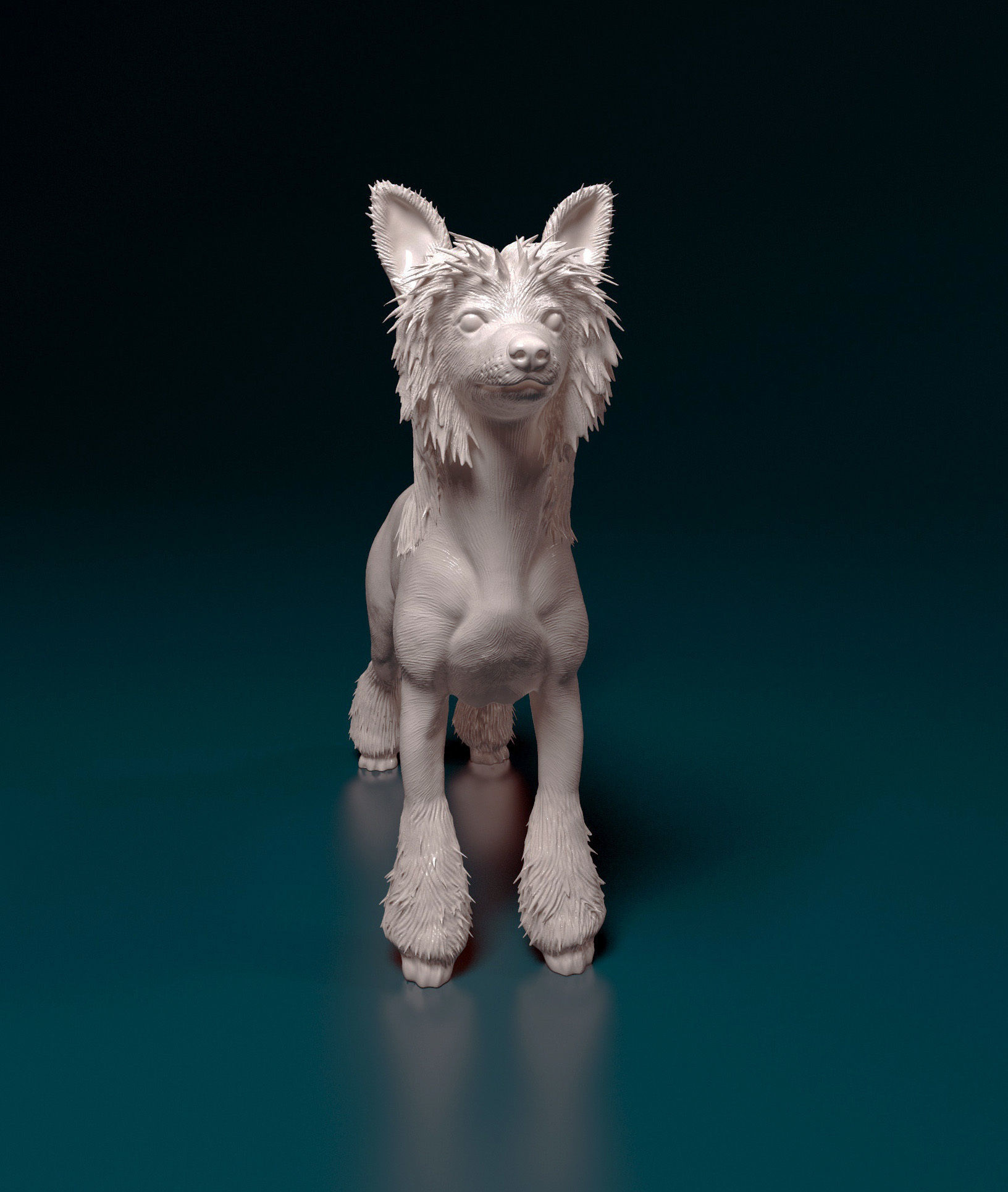 Chinese Crested dog 3D print model_7