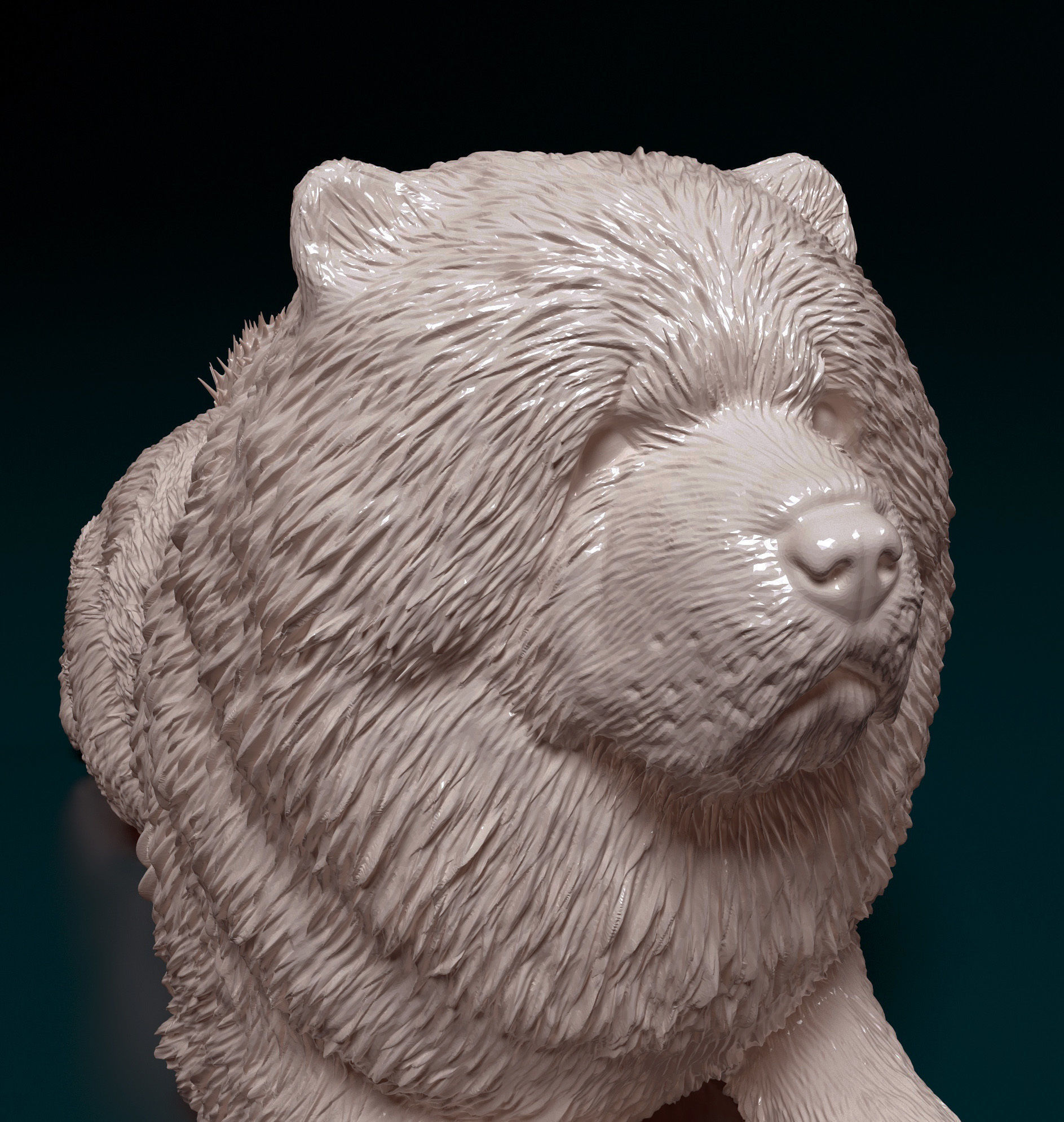 Chow-chow dog 3D print model_8
