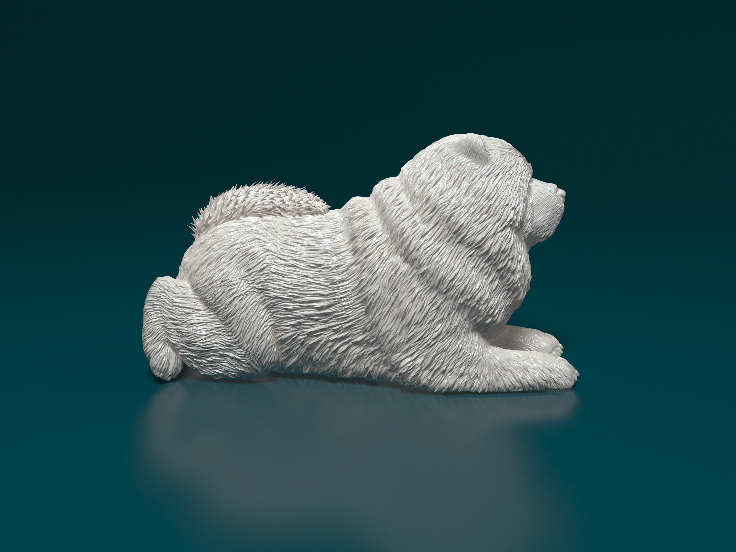 Chow-chow dog 3D print model_1