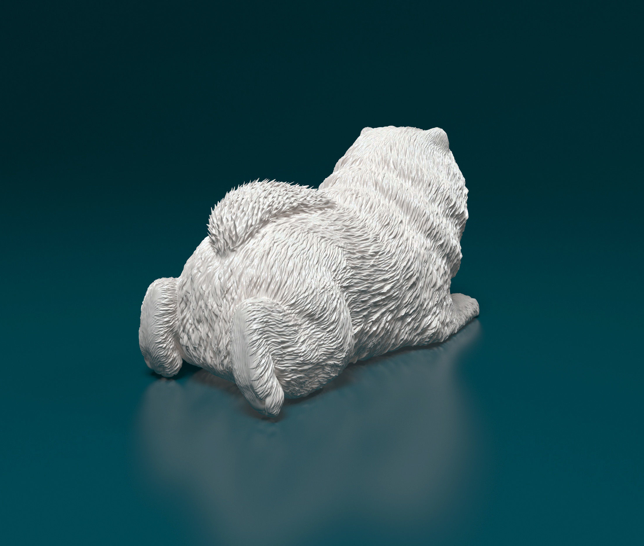 Chow-chow dog 3D print model_2
