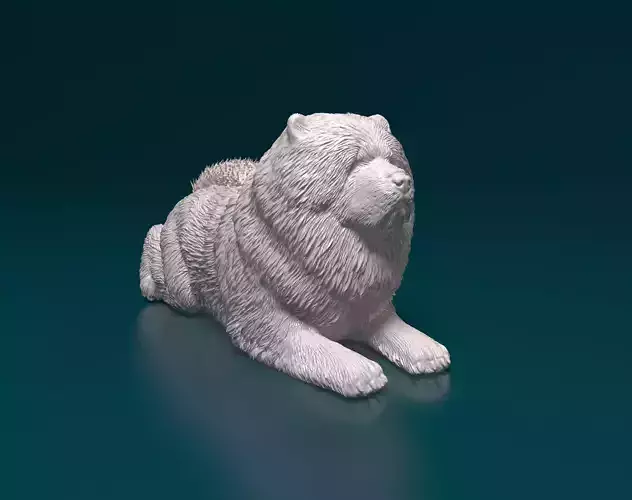 Chow-chow dog 3D print model