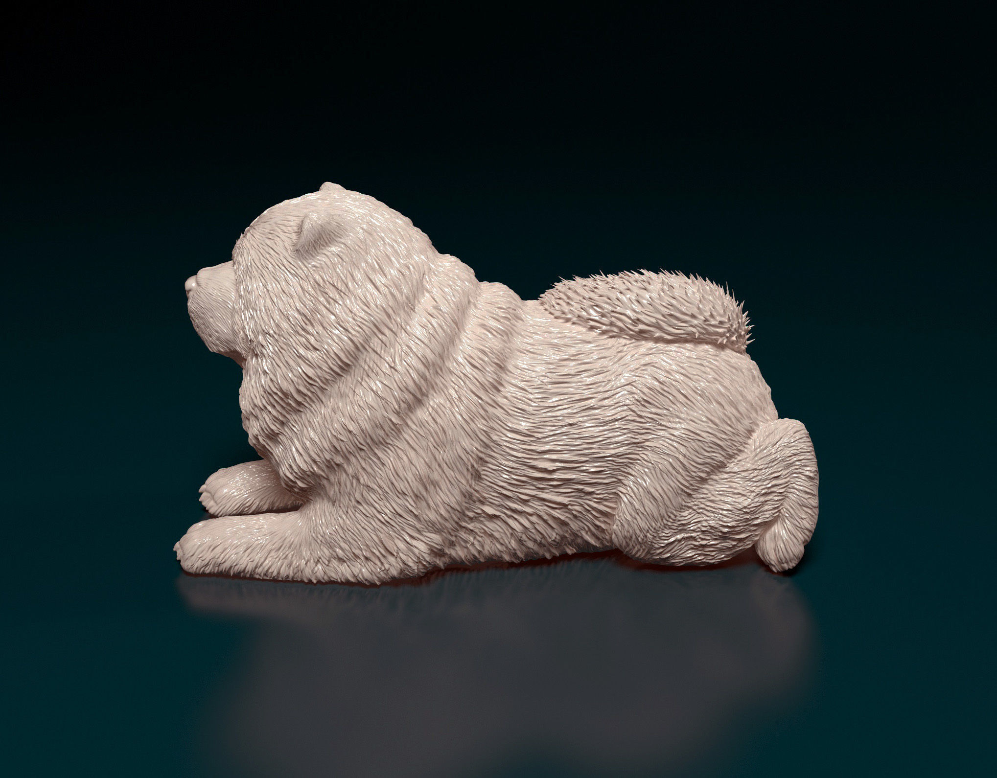 Chow-chow dog 3D print model_5