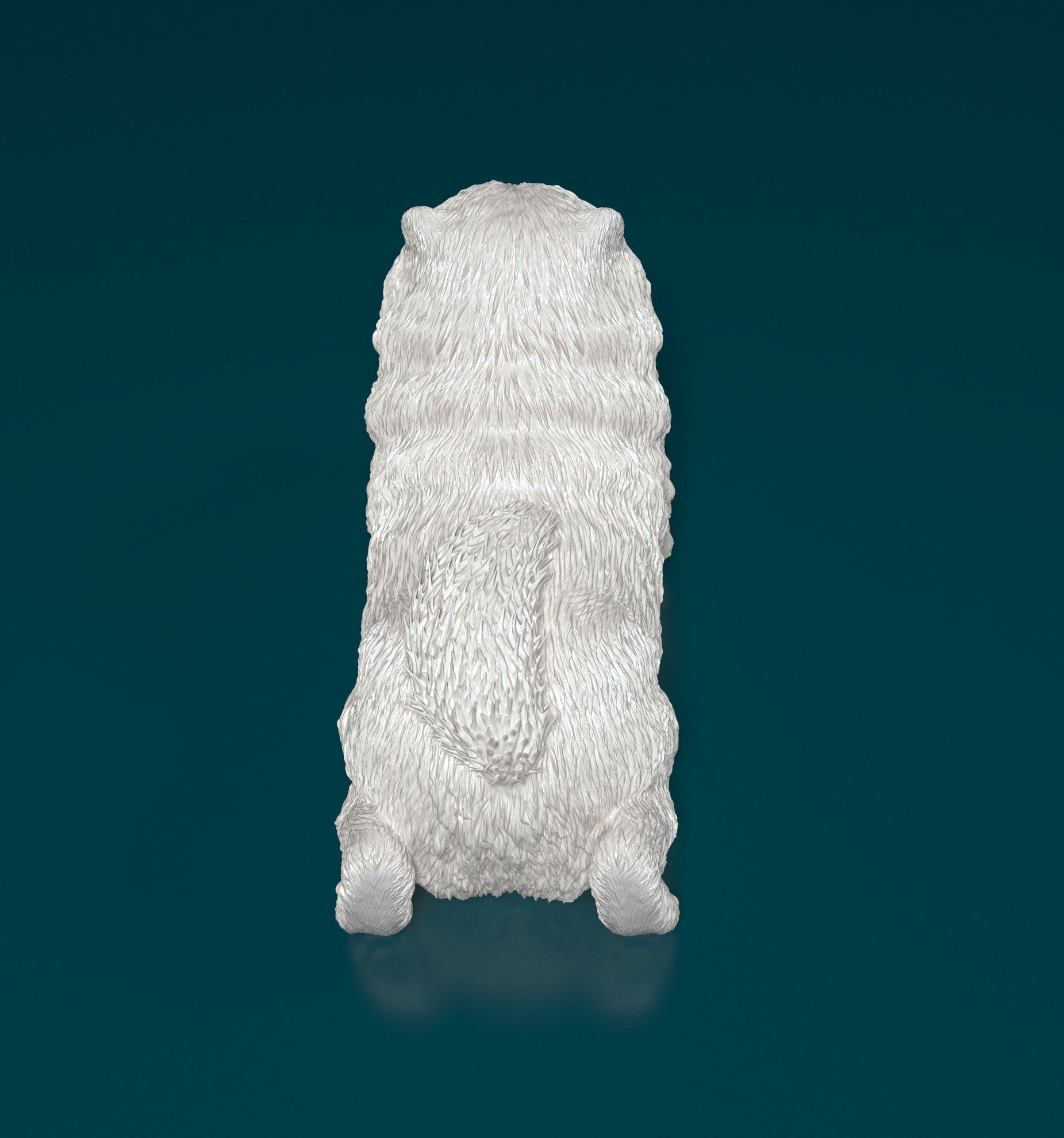 Chow-chow dog 3D print model_3