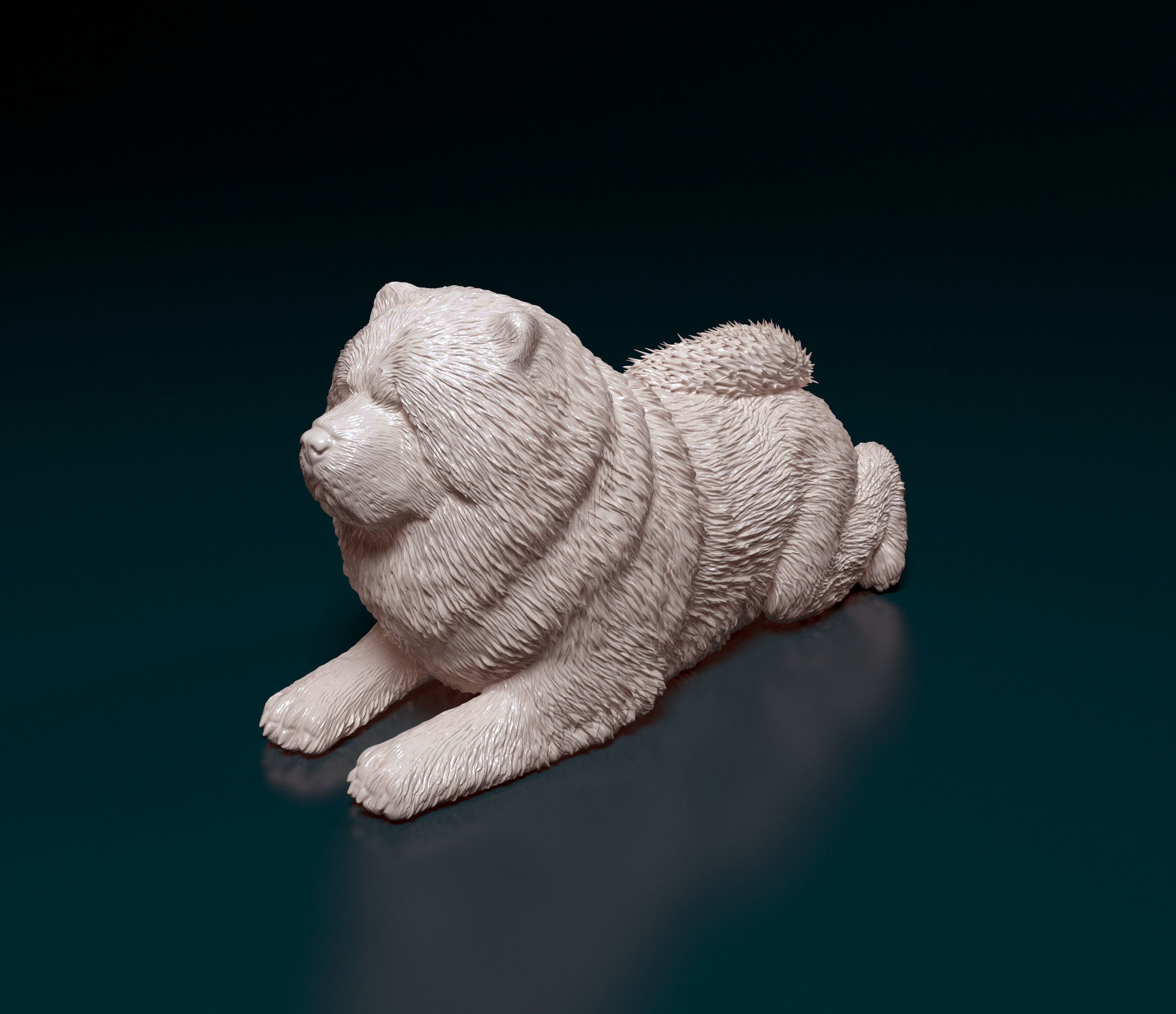 Chow-chow dog 3D print model_6