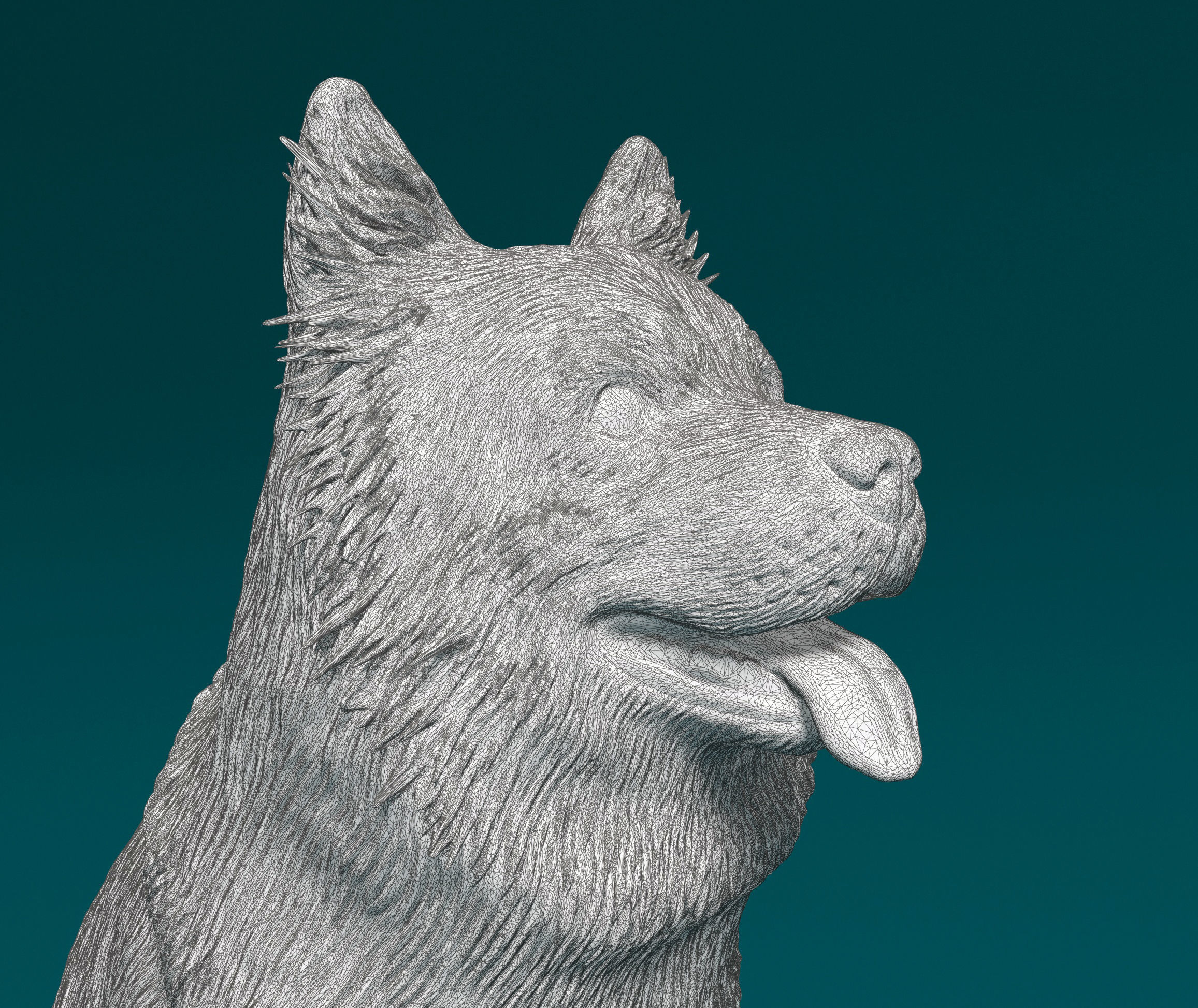 Chow-chow dog 3D print model_10