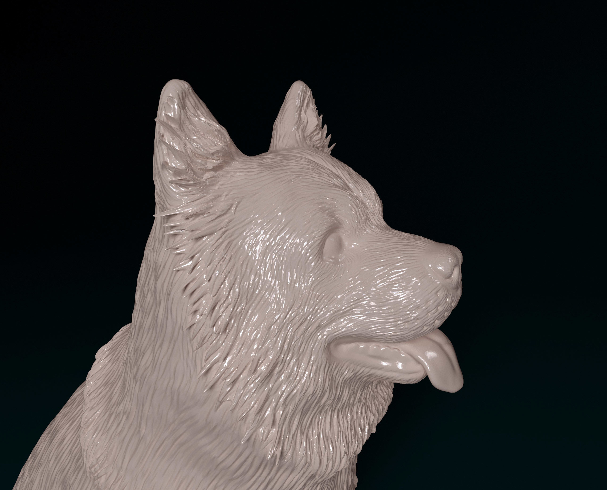 Chow-chow dog 3D print model_9