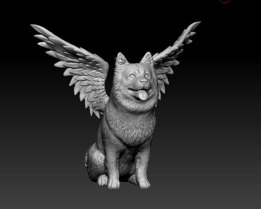 Chow-chow dog 3D print model_11