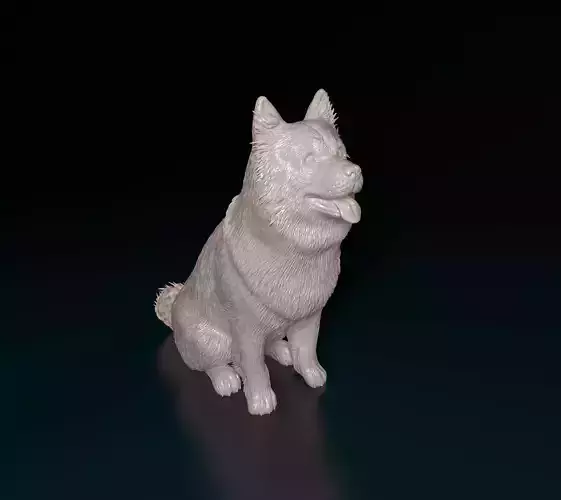 Chow-chow dog 3D print model
