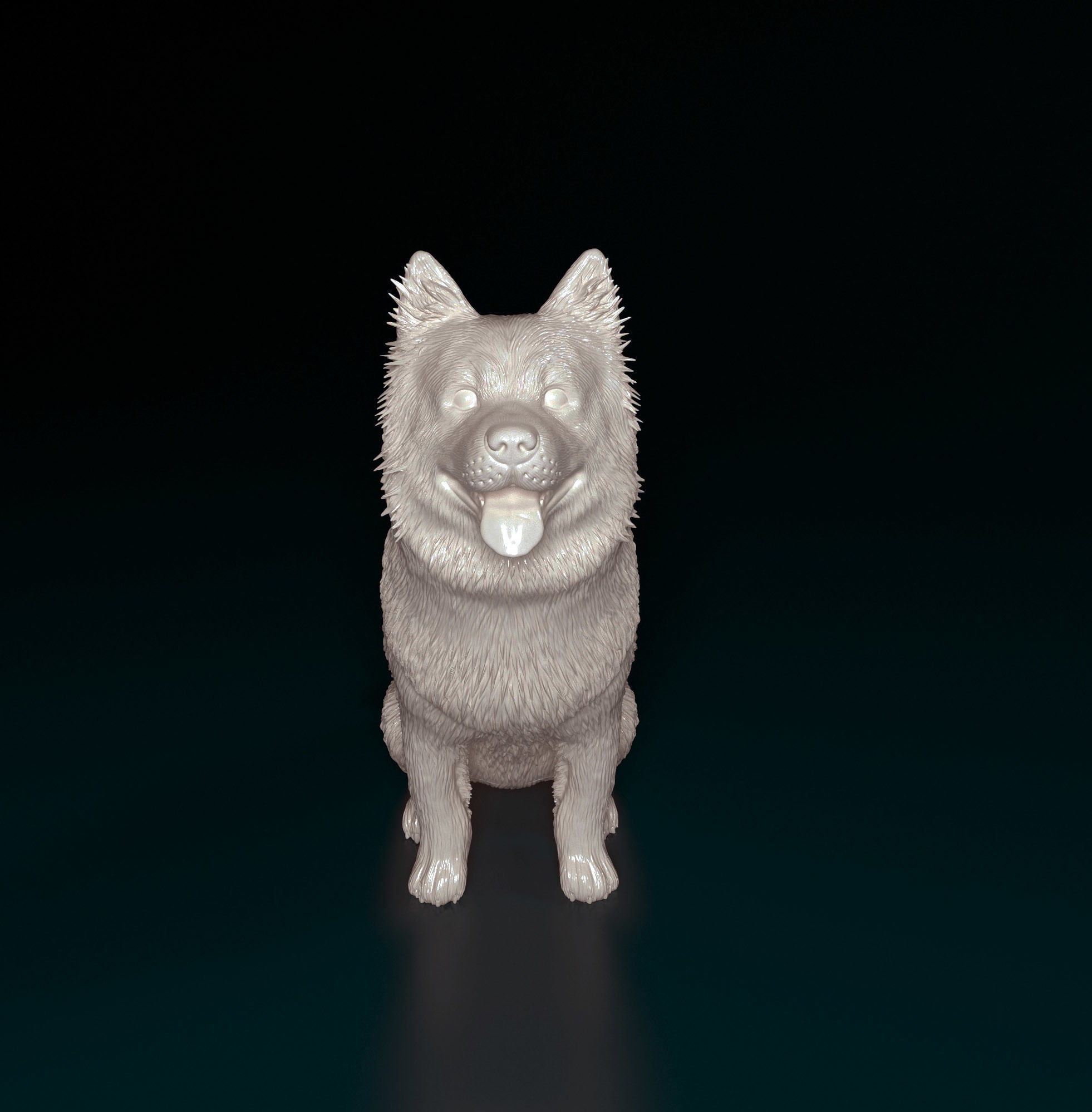 Chow-chow dog 3D print model_7