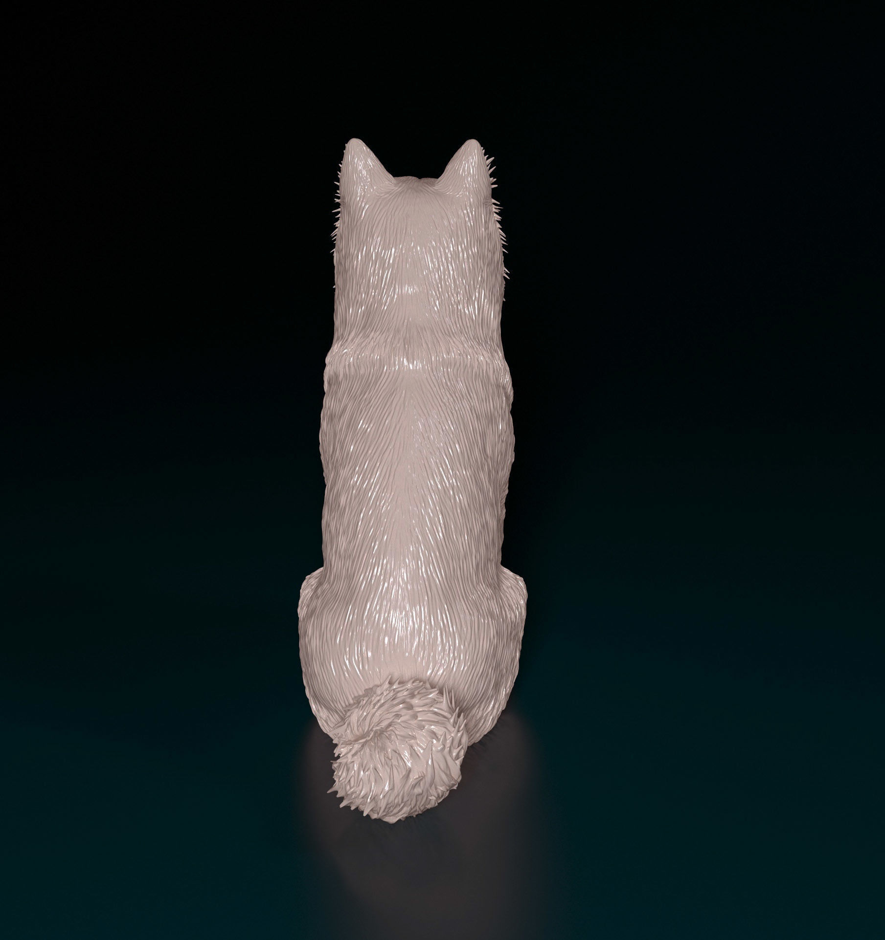 Chow-chow dog 3D print model_5