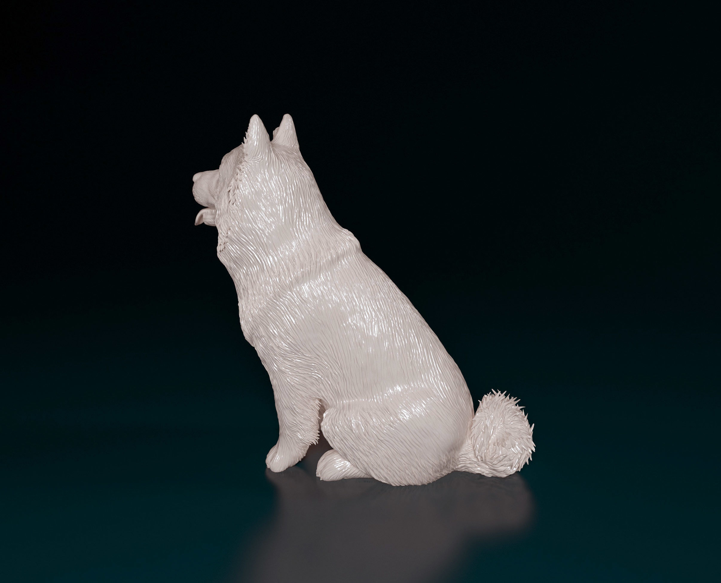 Chow-chow dog 3D print model_1