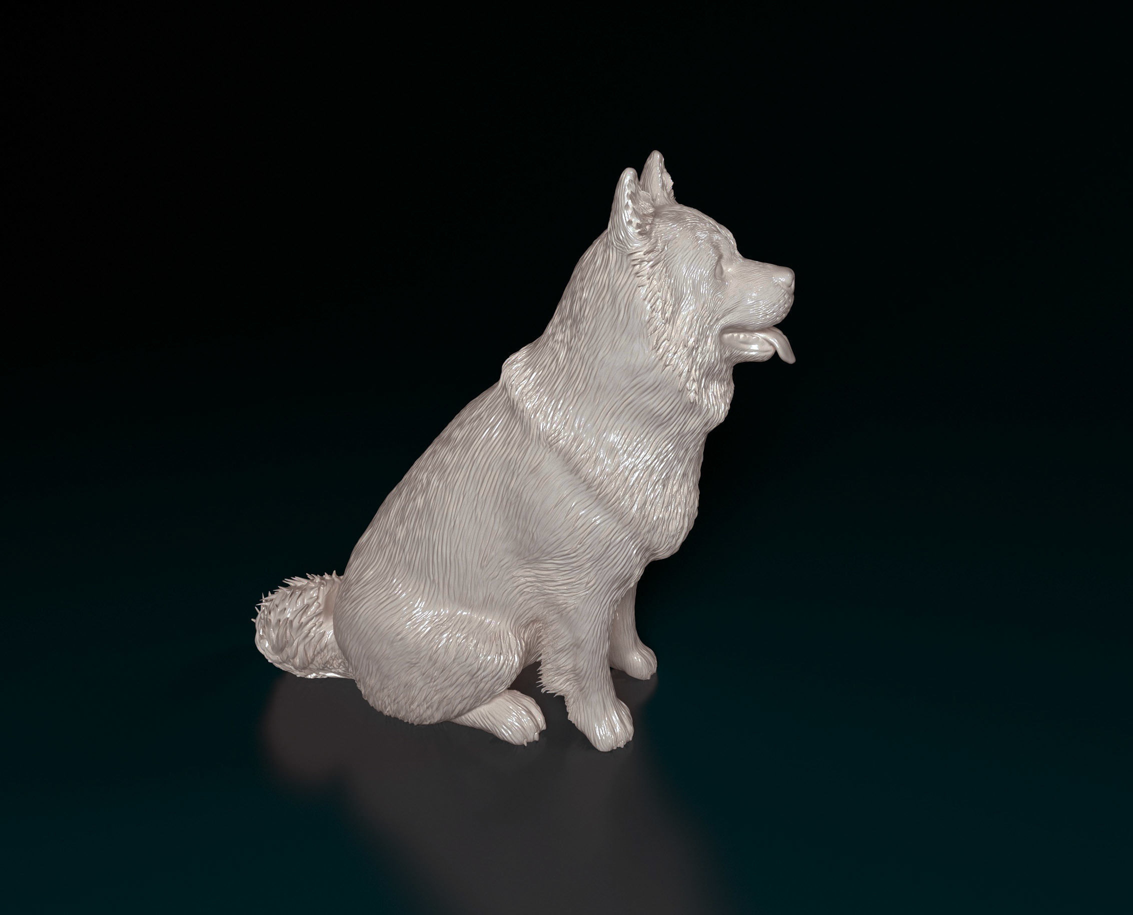 Chow-chow dog 3D print model_2